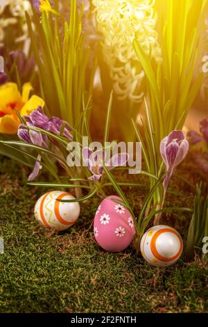 Easter background with spring flowera and Easter eggs Stock Photo