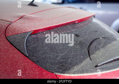 dirty red car rear window wiper covered with a layer of dust after long-term disuse, abandoned vehicles in the parking lot back view, nobody. Stock Photo