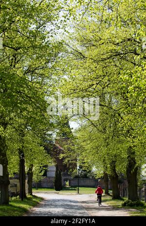 Mellenthin village church, Usedom Island, Mecklenburg-Western Pomerania, Germany Stock Photo