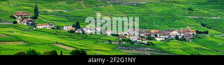 geography / travel, Switzerland, Vaud, Epesses, Epesses village in the middle of the Lavaux vineyards , Additional-Rights-Clearance-Info-Not-Available Stock Photo