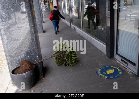 A potted shrub lies across the pavement after  windy weather during the third lockdown of the Coronavirus pandemic, on 11th March 2021, in London, England. Stock Photo