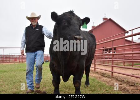 44 Farms, Cameron, Texas, USA Stock Photo