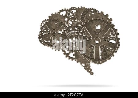 Human brain with metallic gears on white background Stock Photo