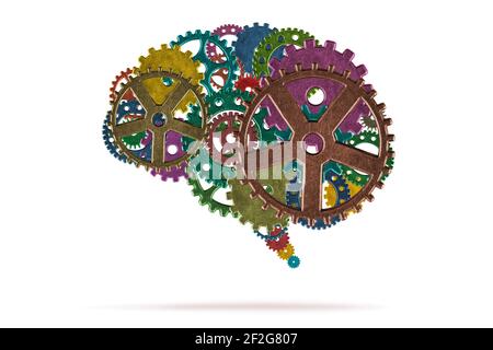Human brain with colorful metallic gears on white background Stock Photo