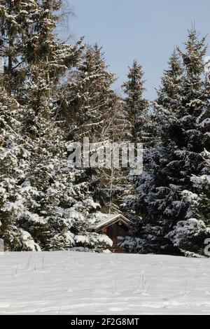 Winter hike near Gerold, near Klais, Europe, Germany, Bavaria, Upper Bavaria, Werdenfels, winter, hut in the freshly snow-covered forest Stock Photo