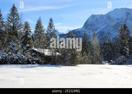 Winter hike near Mittenwald, near Elmau, Klais, Europe, Germany, Bavaria, Upper Bavaria, Werdenfels, winter, apiary in the forest, Wetterstein Mountains Stock Photo