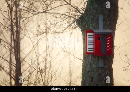 Unusual wooden birdbox in shape of piano keyboard attached to tree in forest. Concept of nature, different, unusual, creativity Stock Photo
