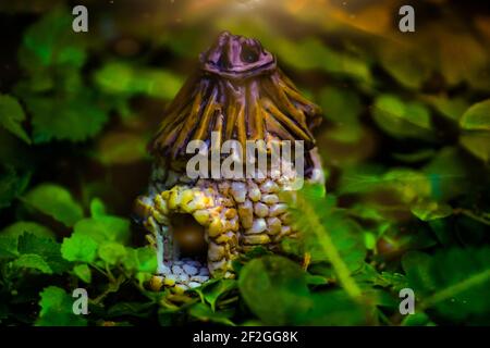 Unique miniature dwarf house in the fantasy world Stock Photo