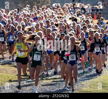 Wappingers Falls, New York, USA - 23 November 2019: Over 200 high school girls the first four hundred meters into a cross country race on the Bowdoin Stock Photo
