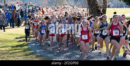 Wappingers Falls, New York, USA - 23 November 2019: Over 200 high school girls the first four hundred meters into a cross country race on the Bowdoin Stock Photo