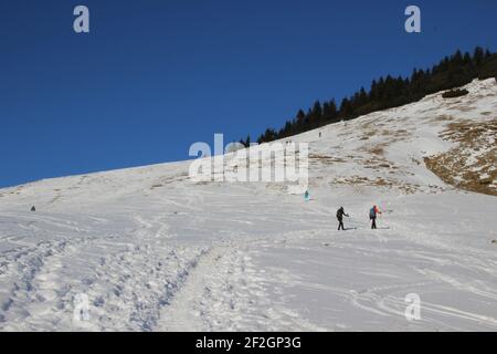 Winter hike through the mountain forest to the Simetsberg. Germany, Bavaria, Walchensee, Einsiedl, summit ascent, ski tourer, Stock Photo