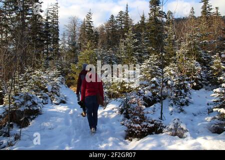 2 young women, hike to Finzbachklamm near Krün, Europe, Germany, Bavaria, Upper Bavaria, Werdenfelser Land, winter, forest Stock Photo