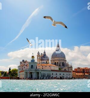 Old cathedral of Santa Maria della Salute in Venice, Italy Stock Photo