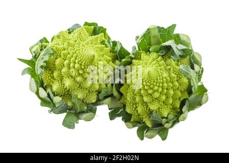 Roman cauliflower isolated on white background. High quality photo Stock Photo