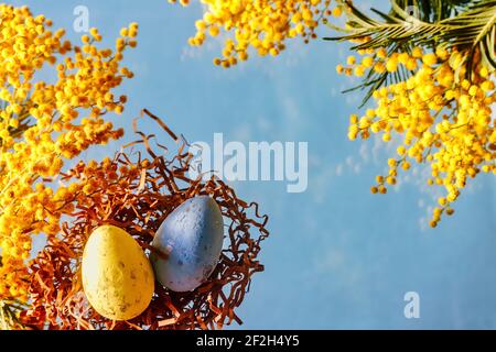 A basket with Easter eggs and mimosa flower on blue background Stock Photo