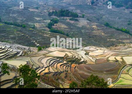 geography / travel, China, Yunnan, Impressive rice terraces cultures of the Yuanyang region in Duo Yi , Additional-Rights-Clearance-Info-Not-Available Stock Photo