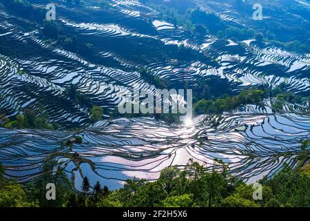 geography / travel, China, Yunnan, Impressive rice terraces cultures of the Yuanyang region in Bada va, Additional-Rights-Clearance-Info-Not-Available Stock Photo