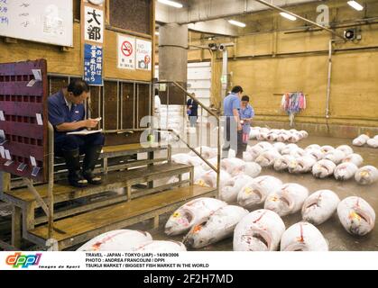 TRAVEL - JAPAN - TOKYO (JAP) - 14/09/2006 PHOTO : ANDREA FRANCOLINI / DPPI TSUKIJI MARKET / BIGGEST FISH MARKET IN THE WORLD Stock Photo