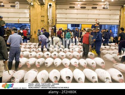 TRAVEL - JAPAN - TOKYO (JAP) - 14/09/2006 PHOTO : ANDREA FRANCOLINI / DPPI TSUKIJI MARKET / BIGGEST FISH MARKET IN THE WORLD Stock Photo