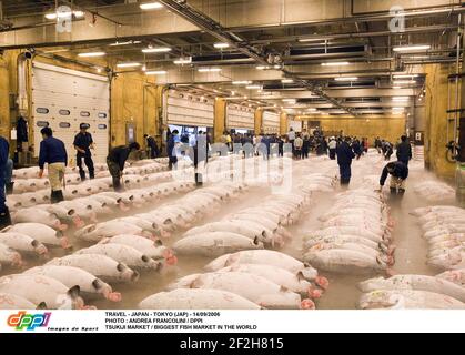 TRAVEL - JAPAN - TOKYO (JAP) - 14/09/2006 PHOTO : ANDREA FRANCOLINI / DPPI TSUKIJI MARKET / BIGGEST FISH MARKET IN THE WORLD Stock Photo