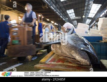 TRAVEL - JAPAN - TOKYO (JAP) - 14/09/2006 PHOTO : ANDREA FRANCOLINI / DPPI TSUKIJI MARKET / BIGGEST FISH MARKET IN THE WORLD Stock Photo