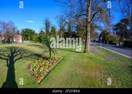 Looking towards Haywards Heath town centre over Muster Green park in early spring sunshine and flower beds blooming. West Sussex county, UK. Stock Photo