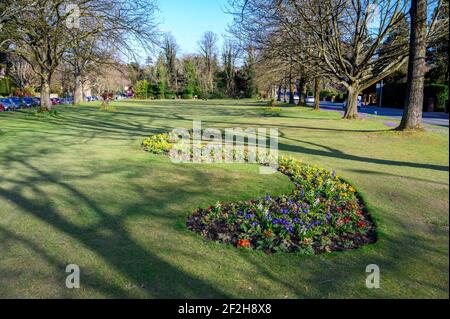 Looking towards Haywards Heath town centre over Muster Green park in early spring sunshine and flower beds blooming. West Sussex county, UK. Stock Photo