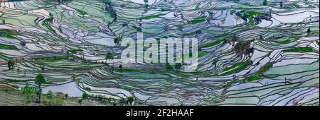 geography / travel, China, Yunnan, Impressive rice terraces cultures in the Yuanyang region, at the La, Additional-Rights-Clearance-Info-Not-Available Stock Photo