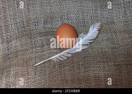A fresh organic chicken egg and a feather on burlap fabric Stock Photo