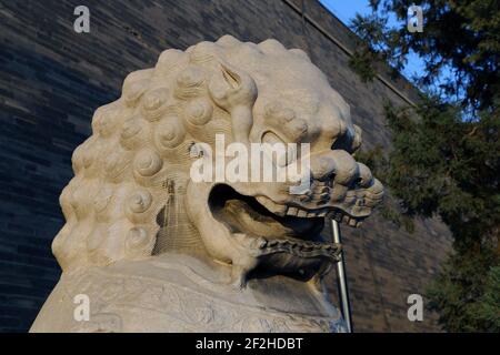 Guardian Lion Statue on the Tiananmen Square -- is a large city square in the center of Beijing, China Stock Photo