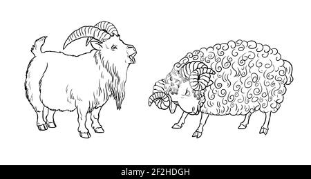 Funny goat and sheep. Funny farm animals. Template for children to paint. Stock Photo