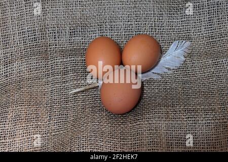 Three fresh organic chicken eggs and a feather on burlap fabric Stock Photo