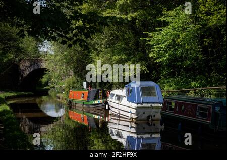 Boats on the Monmouthshire and Brecon Canal near Govilon Wharf,  near Abergavenny, Monmouthshire, Wales, UK Stock Photo