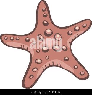Vector illustration of starfish isolated on a white background. Design of sea star. Stock Vector