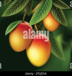 Vector ripe yellow, orange, red whole mango and leaves hanging on branch isolated with green blur Background Stock Vector