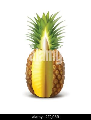 Vector ripe sliced pineapple fruit isolated on white background Stock Vector