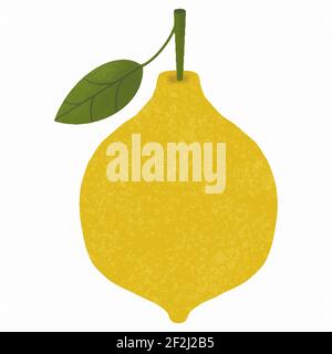 Fresh juicy lemon on white background isolated eps clipart vector illustration Stock Vector