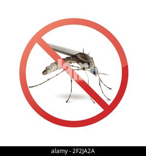 Stop prohibit sign on mosquito close up side view isolated on white background Stock Vector