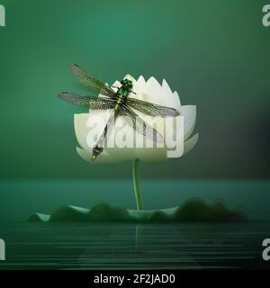 Vector realistic Gomphus vulgatissimus dragonfly sitting on lily flower with blur dark turquoise pond background front view Stock Vector