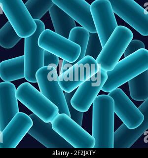 bacillus bacteria diagram