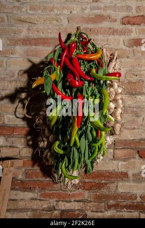 Chillies and ai hanging on the wall of a house Stock Photo