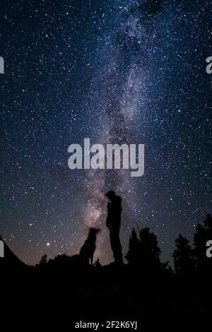 Silhouette man with dog on mountain against star field Stock Photo