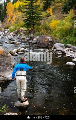 Rear view of woman fly-fishing while standing on rock by river in forest Stock Photo