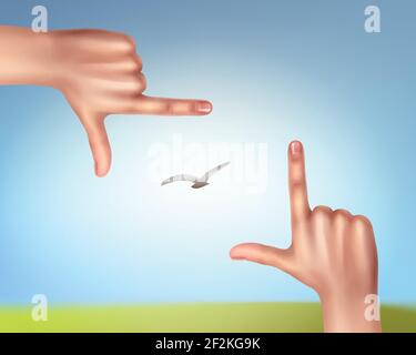 Vector illustration of hands making a frame of bird in sky. First-person view, isolated on background Stock Vector