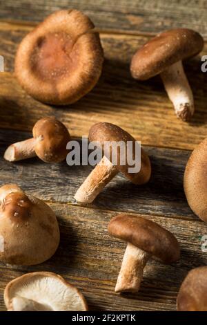 Raw Organic Shiitake Mushrooms Ready to Cook Stock Photo