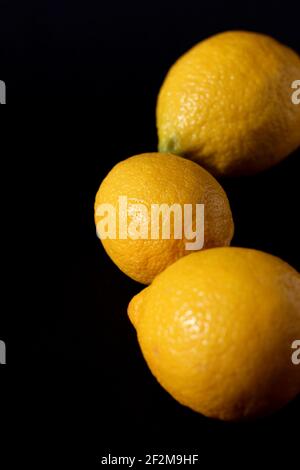 Lemons. Still Life of Ripe Lemons on Dark Black Background. Stock Photo