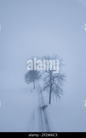 Germany, Saxony, Ore Mountains, trees and snow-covered country road near Eibenberg Stock Photo