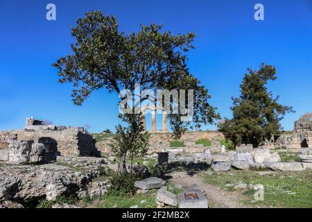 Corinth Greece - Remaining standing columns of Temple of Apollo viewed under the limbs of a small tree that stands in the midst of fragments of ruined Stock Photo