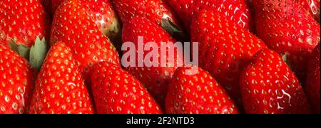 Close-up of a group of strawberries. Organic texture background and geometric composition. Stock Photo