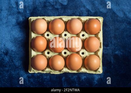 A cardboard box with a dozen brown free-range chicken eggs on a textured blue background. Ecological products and healthy food. Stock Photo